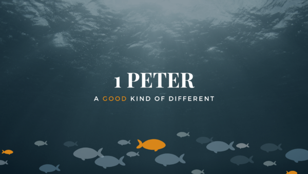 1 Peter | A Good Kind Of Different
